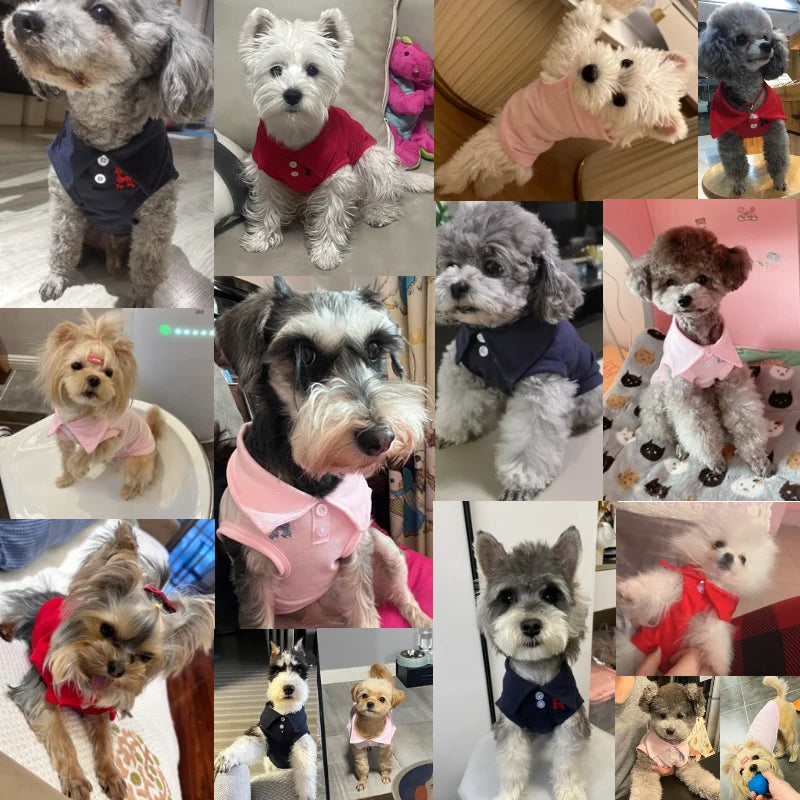 Dog Polo Shirts Cotton Solid Summer Dog Vest Puppy Clothes for Small Dog Pet T Shirt Chihuahua Bichon Dog Hoodies Cat Clothing