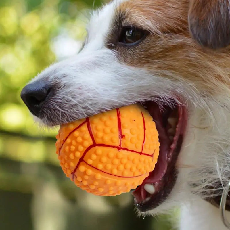 Dog Training Ball Toy Squeaky Treat Ball Interactive Pet Toys Ball Feeder Pet Stimulation Toy Bite-Resistant Puppy Toys