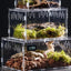 Reptile Acrylic Transparent Terrarium Breeding Box Turtle Cage Nano Arboreal Tarantula Enclosure Dearded Dragon Reptiles Habitat