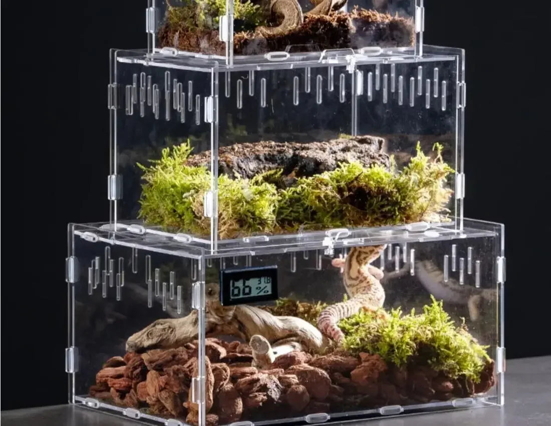 Reptile Acrylic Transparent Terrarium Breeding Box Turtle Cage Nano Arboreal Tarantula Enclosure Dearded Dragon Reptiles Habitat