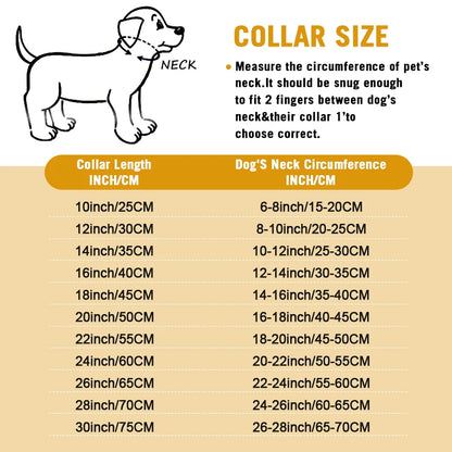 Dog P Chrome Plated Metal Dog Training Choke and Collar, Fully Guaranteed, Against Rust Tarnish or Breakage, Recommended