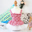 2023 Spring and summer pet skirt puppies small dogs Teddy Grid Pettiskirt Dress Pet Clothes Puppy Costume Spring Pet Clothing