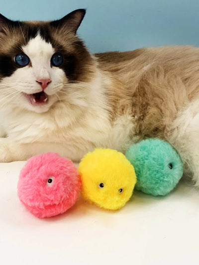 Smart Interactive Ball Cat Toys Catnip Cat Training Toy Pet Playing Ball for Cats Kitten Kitty Pet Squeaky Toy Supplies Products