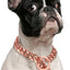 Stainless Steel Dog Chain Collar, Rose Gold Pet Necklace, Strong P Chain Choker for Small and Big Dogs, 15mm Width
