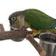 1Set Stainless Steel Birds Parrot Feeder Bowl Round Small Pet Natural Wood Stand Food Water Drinking Feeding Bowl
