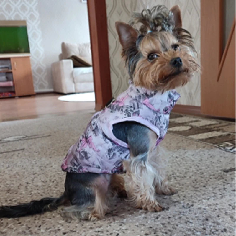Dog Clothes For Small Dogs Yorkia Mini Chihuahua Dog Clothes Winter Cat Jacket Coat For Pug Puppy Down Coat Sphynx Pets Apparel