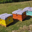 Hot Sale Thermo Insulated Beehive HDPE One-Layer Langstroth Plastic Bee Hive for Beekeeper