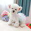 Layered Rainbow Veil Puppy Summer Clothes for Small Dogs Birthday Short Sleeve Pet Dog Dresses Princess Summer New Cat Clothing