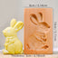 1PC Wood Cookie Mold, Animals Patterns, 3D Carved Embossed Biscuit Cutter Moulds, Fish, Bird, Bear, Sheep, Tiger, Horse, Squirre