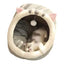 Cat Bed Warm Pet House Kitten Cave Cushion Cat House Round Cat Cushion Cat House 2 In 1 Warm Cats Basket Pet Sleep Bag