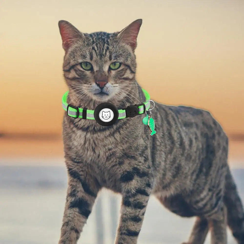 Small Dog Collar Adjustable Dog Collar with Safety Buckle Pet Luminous Collar for Night Walking Pet Nest Wearing for Dogs Cats