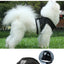 Pet Leash Undershirt Type Harness Breathable Reflective Adjustable Chest Harness Outdoor Dog Carrying Supplies