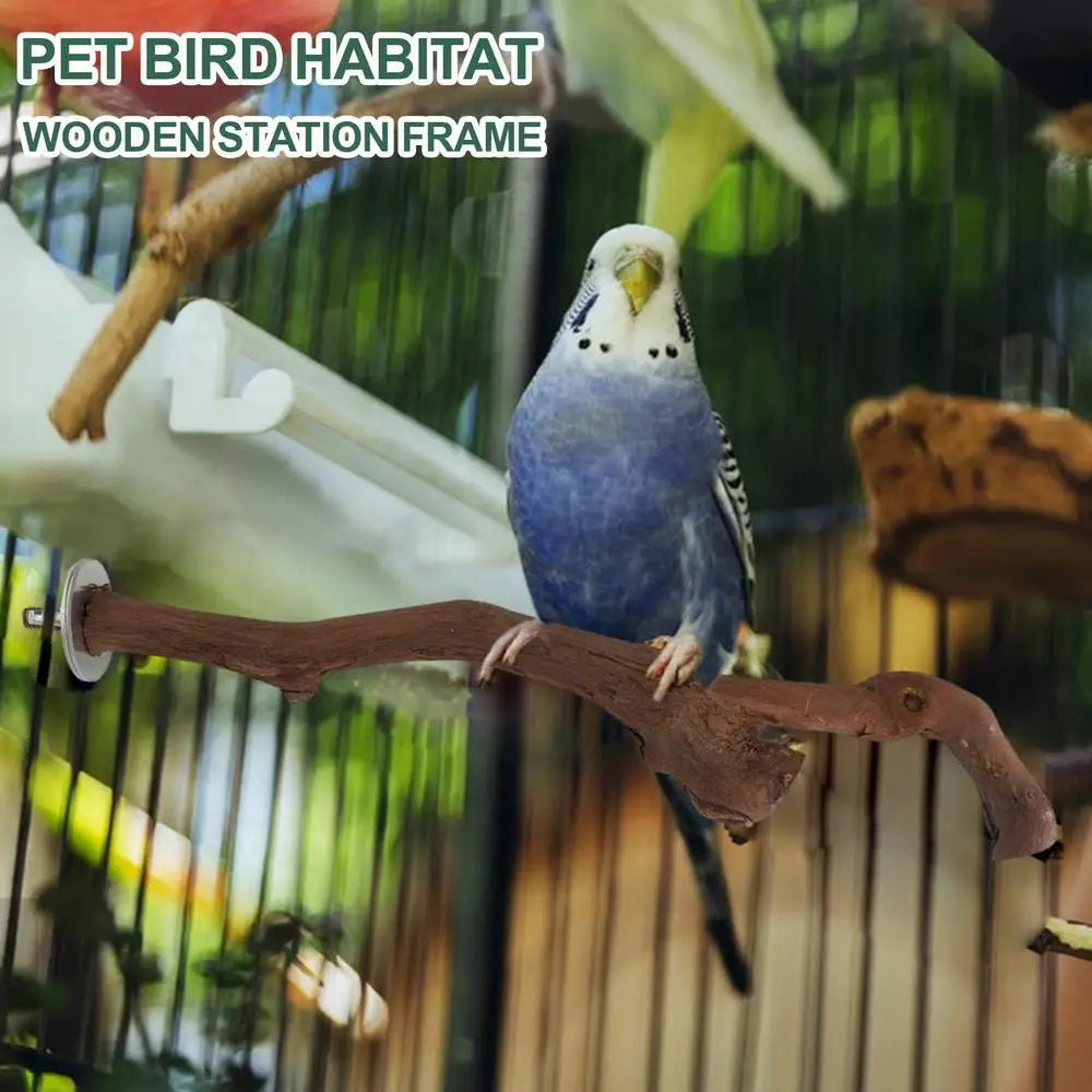 Parrot Perch 5PCS Natural Wooden Cockatiel Perch Exercise Training Branches Parrot Stand Cage Accessories For Small Or Medium
