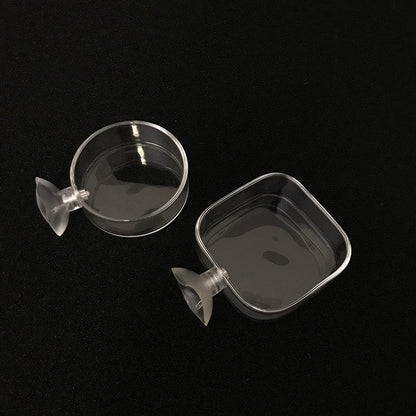 Transparent Aquarium Fish Tank Shrimp Food Feeding Circle Glass Feeder Floating Bottom Feeder Fish Shrimp Aquarium Accessories