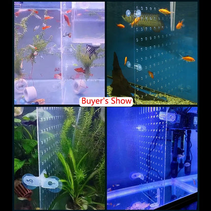 Transparent Acrylic Fish Tank Isolation Board Aquarium Grid Separation Separator Portable Water Supply Acrylic Divider Terrarium