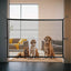 Pet Dog Fence Gate Safe Guard Safety Enclosure Folding Dog Fences Dog Gate The Ingenious Mesh Magic Pet Gate Pet Supplies