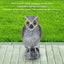 Owl Bird Deterrent Garden Plastic Owls to Keep Birds Away Waterproof Sunscreen Owl to Scare Birds Away Fake Owl for Birds