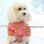Dog Hoodie Dog Costume Pet Clothes Dog Clothes for Parent-child Wear Spring and Autumn Parent-child Wear Keep Warm Embroidery