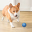 1pcs Dog Toys Intelligent Gravity Jump Ball Rechargeable Bite-Resistant Rolling Ball Cat And Dog Chase Interactive Pet Toys