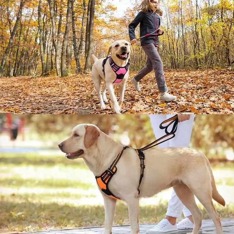 Pet Dog Harness Reflective Adjustable Breathable Vest Chest Strap for Small Medium Big Dogs Cats Collar Harness Dog Accessoires