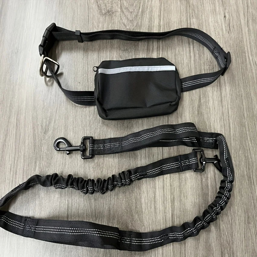 Dog Leash Hands-free With a Waist Bag  Hold Items Harness for Small Breeds Dogs Choker Collar Personalized Nylon Dog Accessories