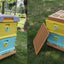 Beekeeping Equipment  2 Layer Honey Bee Hive Box 10 Frame Price Custom Kit Food Grade Color Thermo Plastic Beehive for Sale