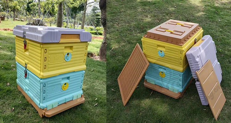 Beekeeping Equipment  2 Layer Honey Bee Hive Box 10 Frame Price Custom Kit Food Grade Color Thermo Plastic Beehive for Sale