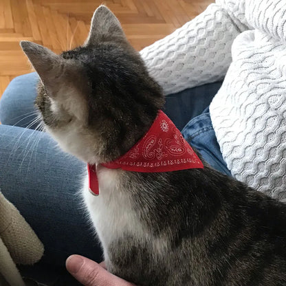 Small Dog Cat Bandana Collar Adjustable Puppy Dog Kitten Neckerchief PU Collar with Printed Triangular Scarf Pet Collar for Cat