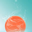 Silicone Flying Saucer Funny Dog Cat Toy Dog Game Flying Discs Resistant Chew Puppy Training Interactive Pet Supplies