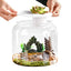 Large Turtle Tank Transparent Turtle Aquarium Turtle Tank With Lid Turtle Terrarium Tortoise Enclosure With Removable Cover