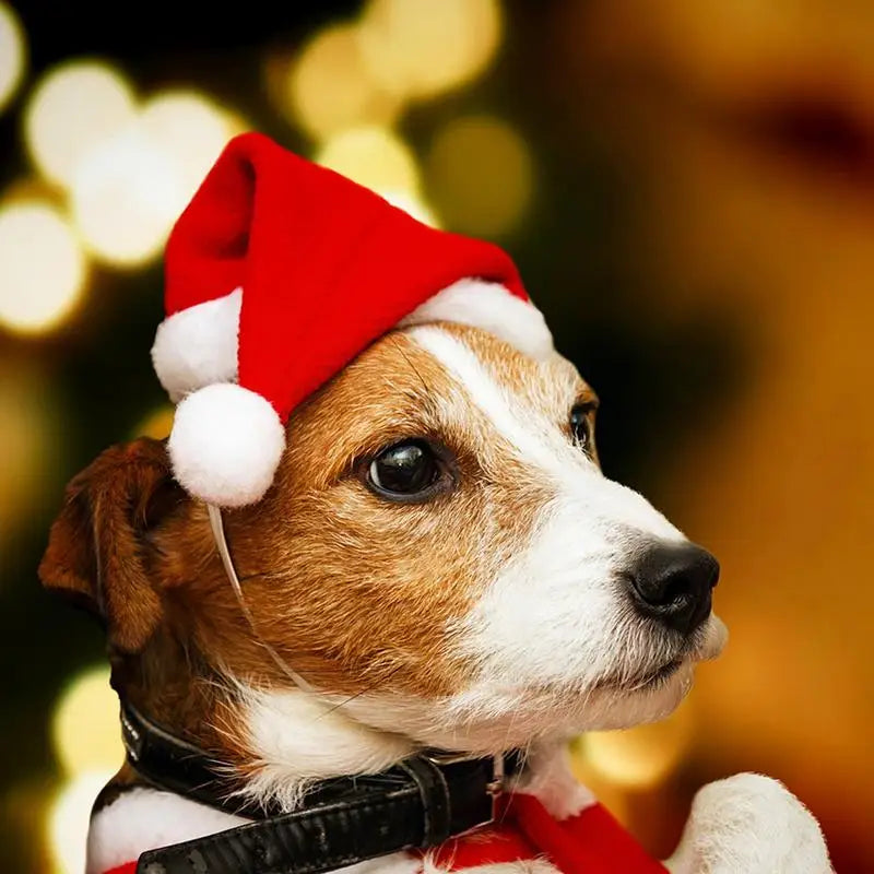 Dog Hats Christmas Santa Hat Small Dog Cat Christmas Hat Soft Small Animals Santa Claus Hat For Kitten Puppy Dogs Cats