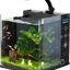 Table Curvedcurved Saltwater Marine Fish Tank Aquarium