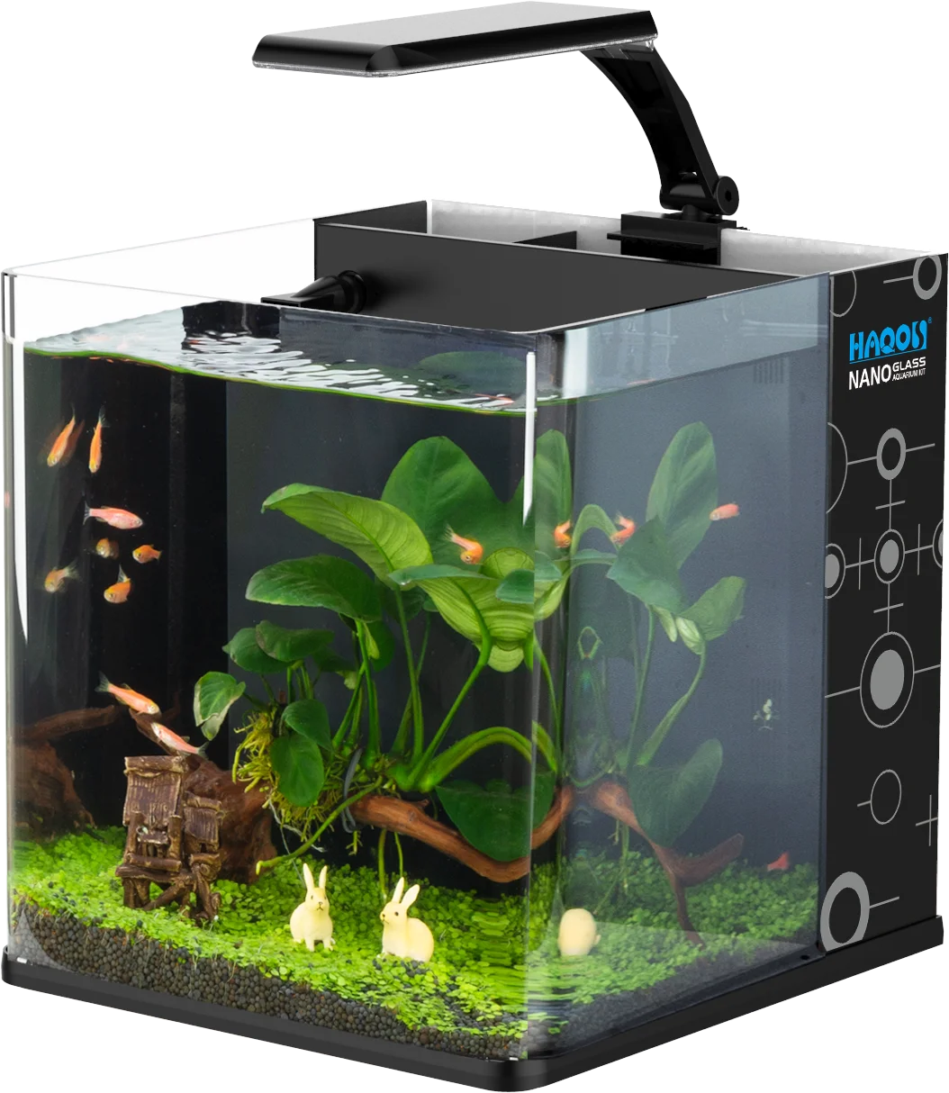 Table Curvedcurved Saltwater Marine Fish Tank Aquarium