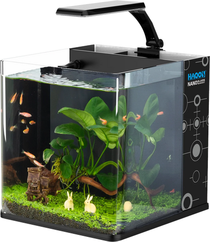 Table Curvedcurved Saltwater Marine Fish Tank Aquarium
