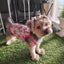 2023 Dog Clothes For Small Dogs T Shirts Spring Vests For Dogs Summer Clothing For Dogs French Bulldog Hawaii Dog Accessories