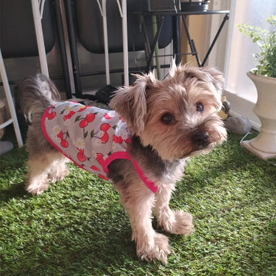 2023 Dog Clothes For Small Dogs T Shirts Spring Vests For Dogs Summer Clothing For Dogs French Bulldog Hawaii Dog Accessories