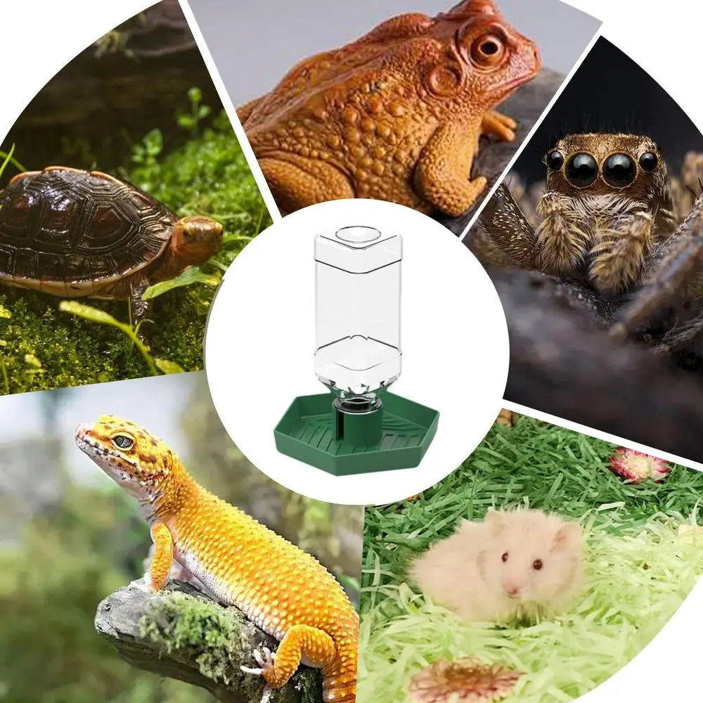 Automatic Reptile Water Dish Feeder Automatic Reptile Water Dish With Bottle Tortoise Turtle Water Dispenser For Bearded Dragons