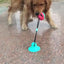 Dog Tug of War Toy Chew Toy Slow Feeder Food Dispenser Sounding Interactive Toy Firmly Suction Cup Toothbrush Durable Molar Ball