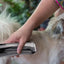 Pet Hair Clipper With Suction USB 3-Speed Vacuum Dog Shaver 1500mAh Rechargeable Low Noise Electric Dog Groomer For Cats