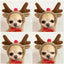 Funny Pet Dog Cat Halloween Costume Dog Costumes for Small Dogs Cosplay Elk Transformed Winter Warm Dog Clothes