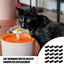 Cat Fountain Filters 20pcs Sponge Cat Filters Cat Fountain Foam Filter Replacement Cat Water Fountain Automatic Drinking Bowl