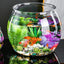 Plastic Clear Round Fish Bowl Aquarium Keeper Tank Vase Pot for Snow Living Room Tabletop Ecological Fish Tank Self