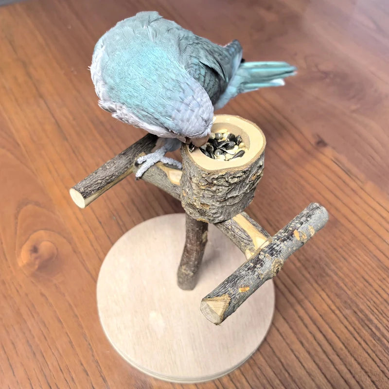 Natural Wood Toy Pet Parrot Raw Wood Stand With wooden feeding bowl Rack Squirrel Bird Hamster Branch Perches Chew Bite Toys