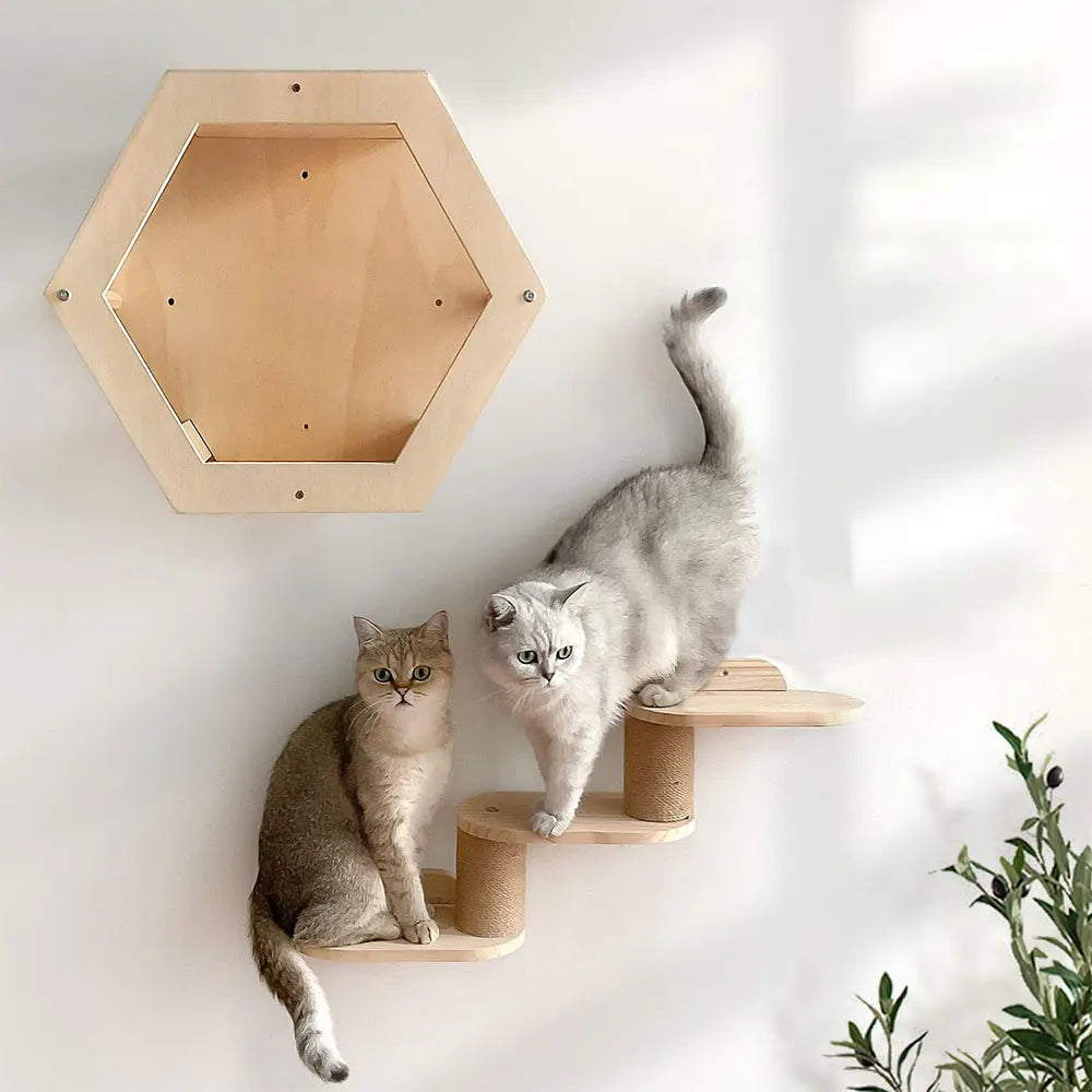 Wall Mounted Cat Climbing Wooden Shelves Cat Hanging Bed or Hammock with Sisal Ladder and Scratching Post for Kitten Playing
