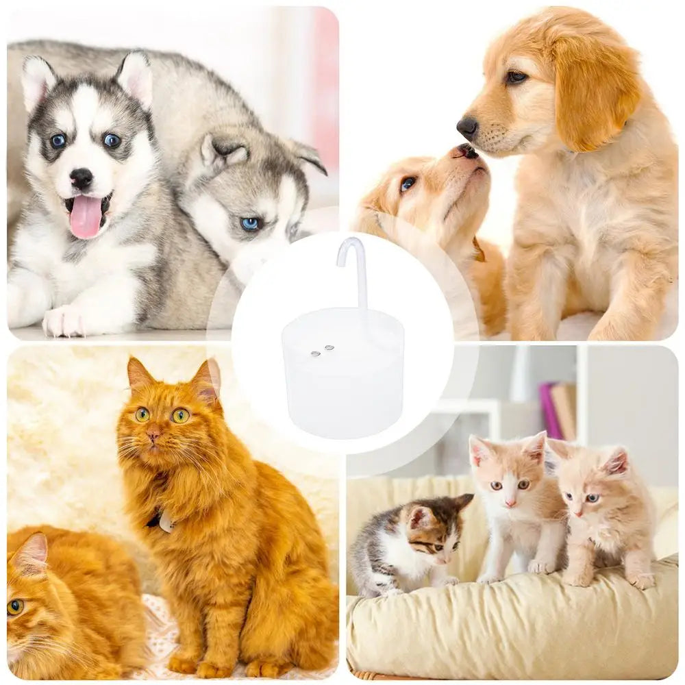 Automatic Pet Water Dispenser Auto Water Bowl For Pet Cats Pet Water Feeding Kitten Pets Dog Puppy Water Feeder Supplies
