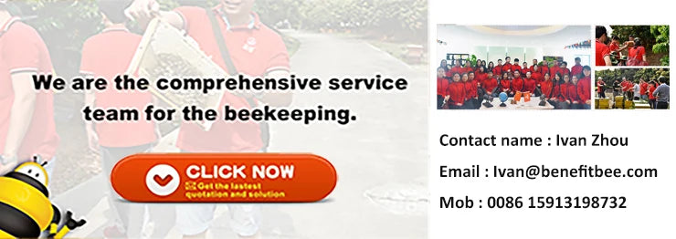 Benefitbee beehive factory 10 frames multifunction Langstroth 2 layers plastic bee hive