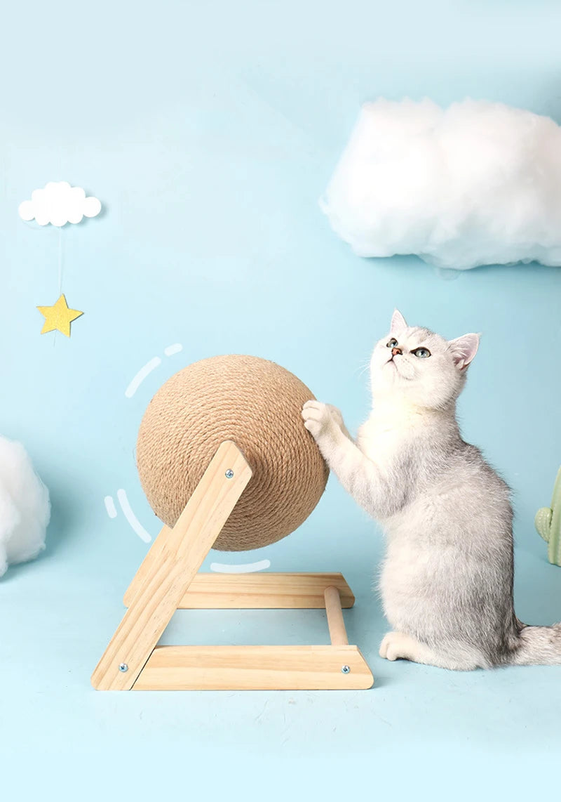 Clearance_Cat Supplies_Continuous updates
