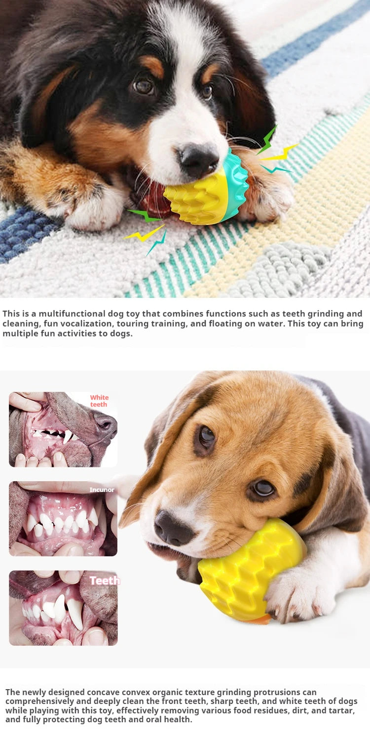 Pet toy ball chews, cleans teeth, is resistant to biting, cat toy chews, emits sound, elastic dog toy ball