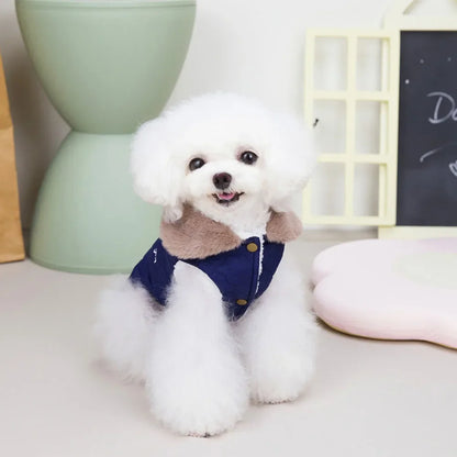 Winter Warm Fur Collar Dog Jacket Windproof & Waterproof Dog Clothes for Small Dogs Puppy Vest Chihuahua Yorkie Coat Pet Costume