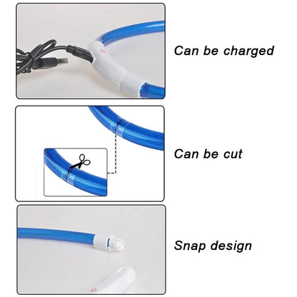 Led Usb Dog Collar Pet Dog Night Luminous Charge Collar Led Night Safety Flashing Glow Dog Loss Prevention Collar Pet Accessorie